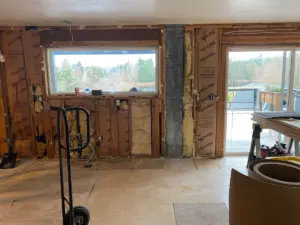 Progress of demo in kitchen and dining room space.